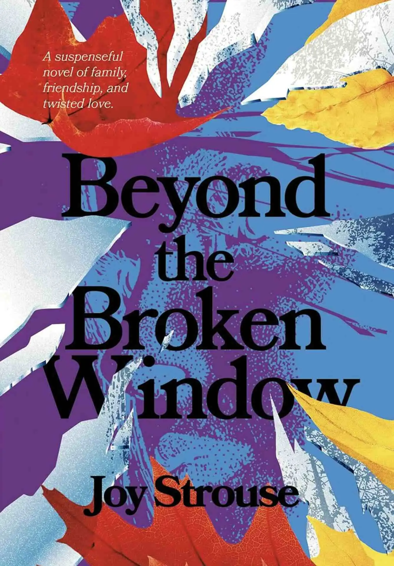 Beyond the Broken Window — book cover
